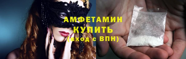 молекула духа Богородицк