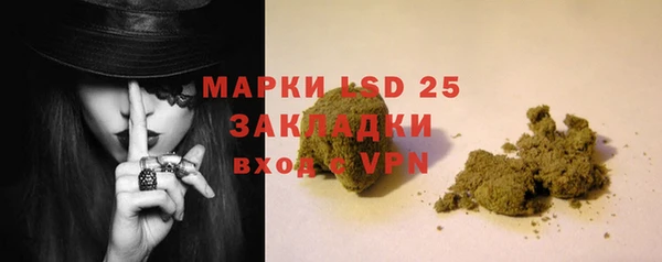 молекула духа Богородицк