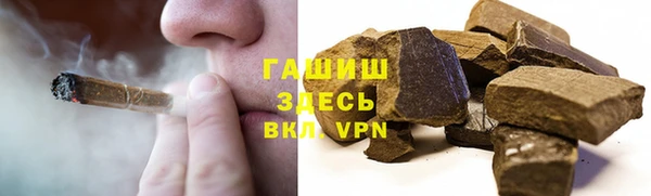 молекула духа Богородицк