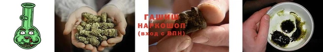 шишки Богородск