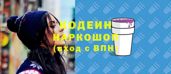 молекула духа Богородицк