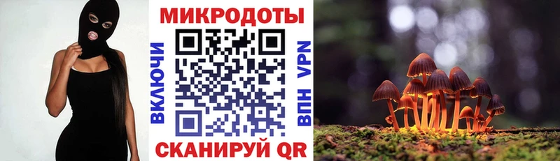 Псилоцибиновые грибы Cubensis Будённовск